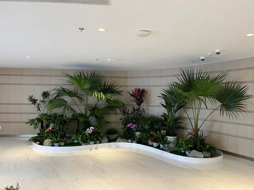 宁波余姚盆景出租公司